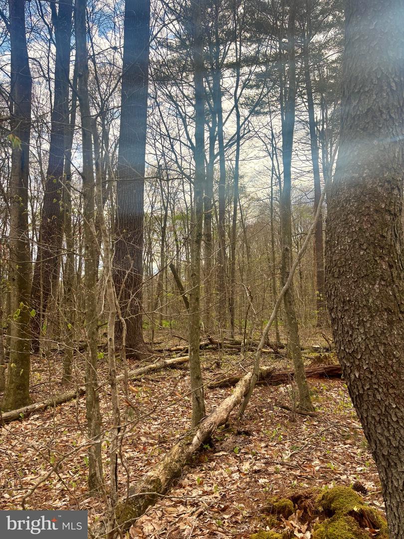 654 Edgewood Dr Property Photo 12
