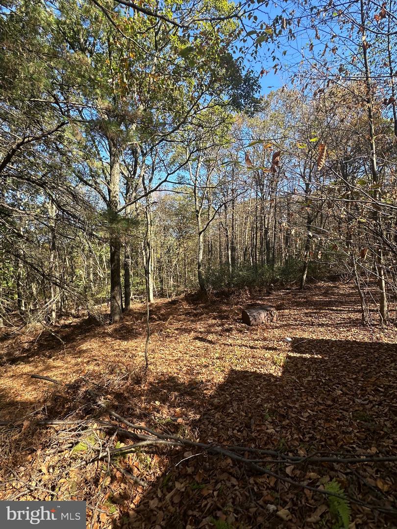 74 & 75 Elm Dr. Property Photo 19