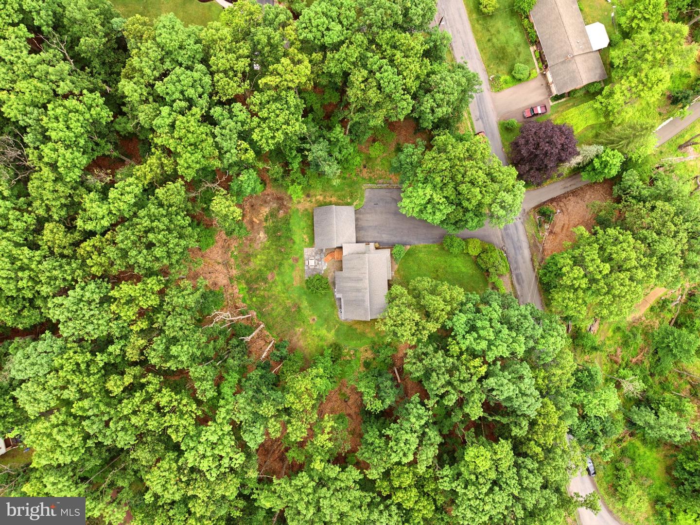 17 Maplewood Rd Property Photo 67