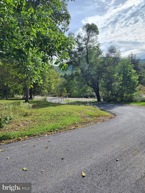 85 Blackburn Rd Property Photo 3