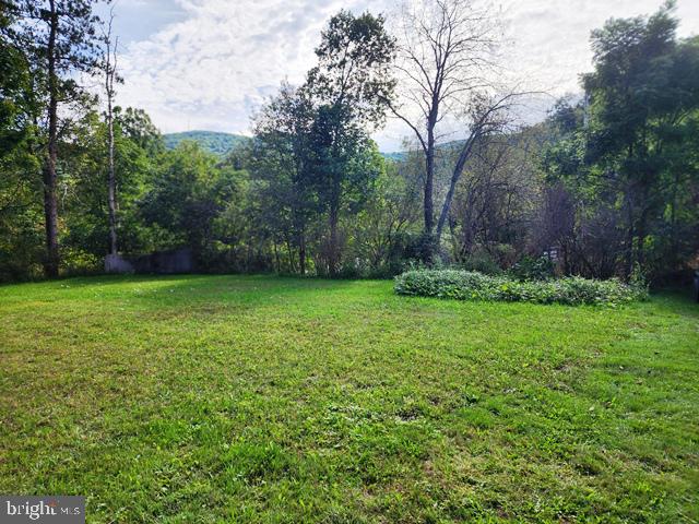 85 Blackburn Rd Property Photo 5
