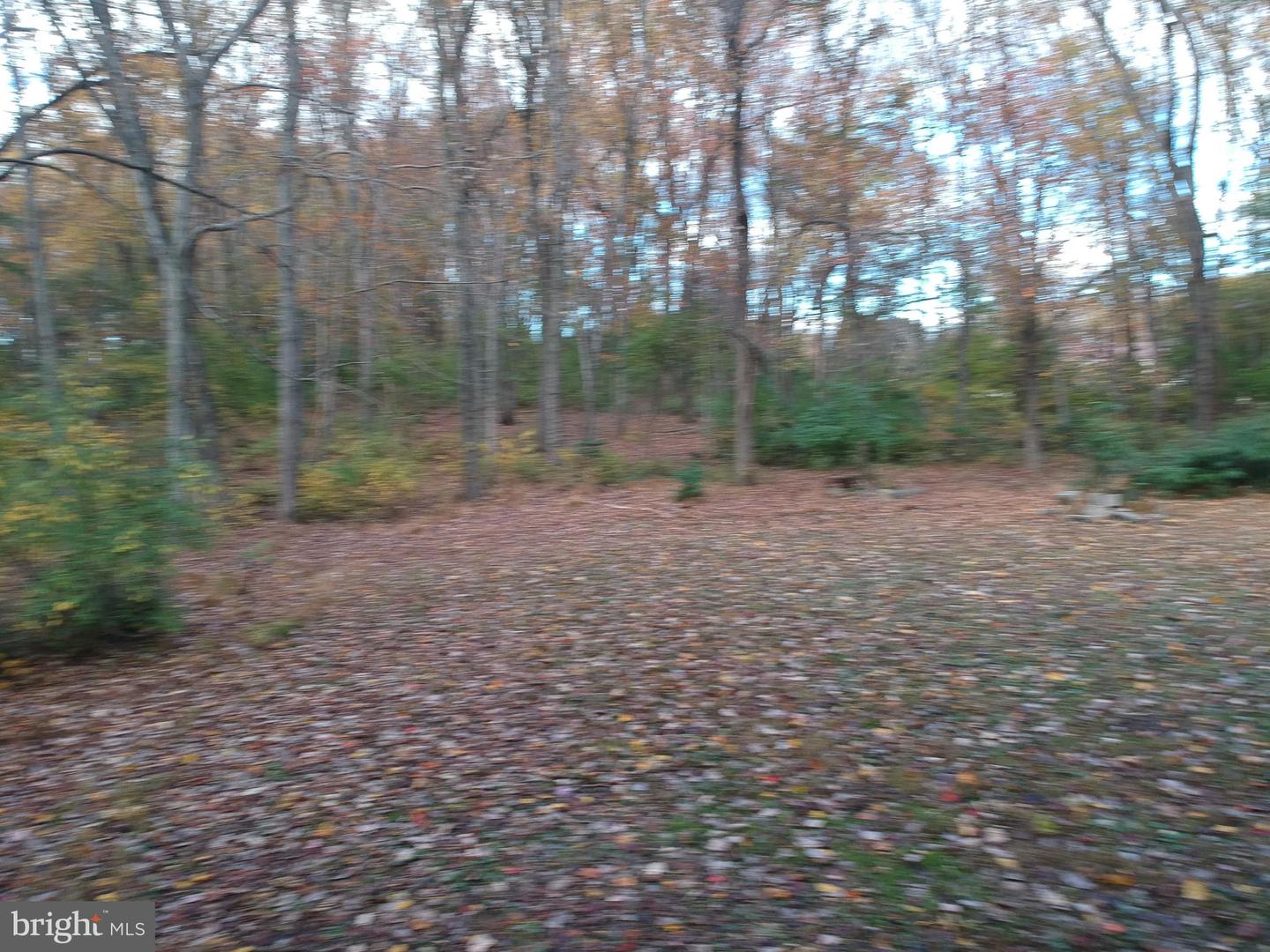 675-lot 2 Brintons Bridge Rd Property Photo 4