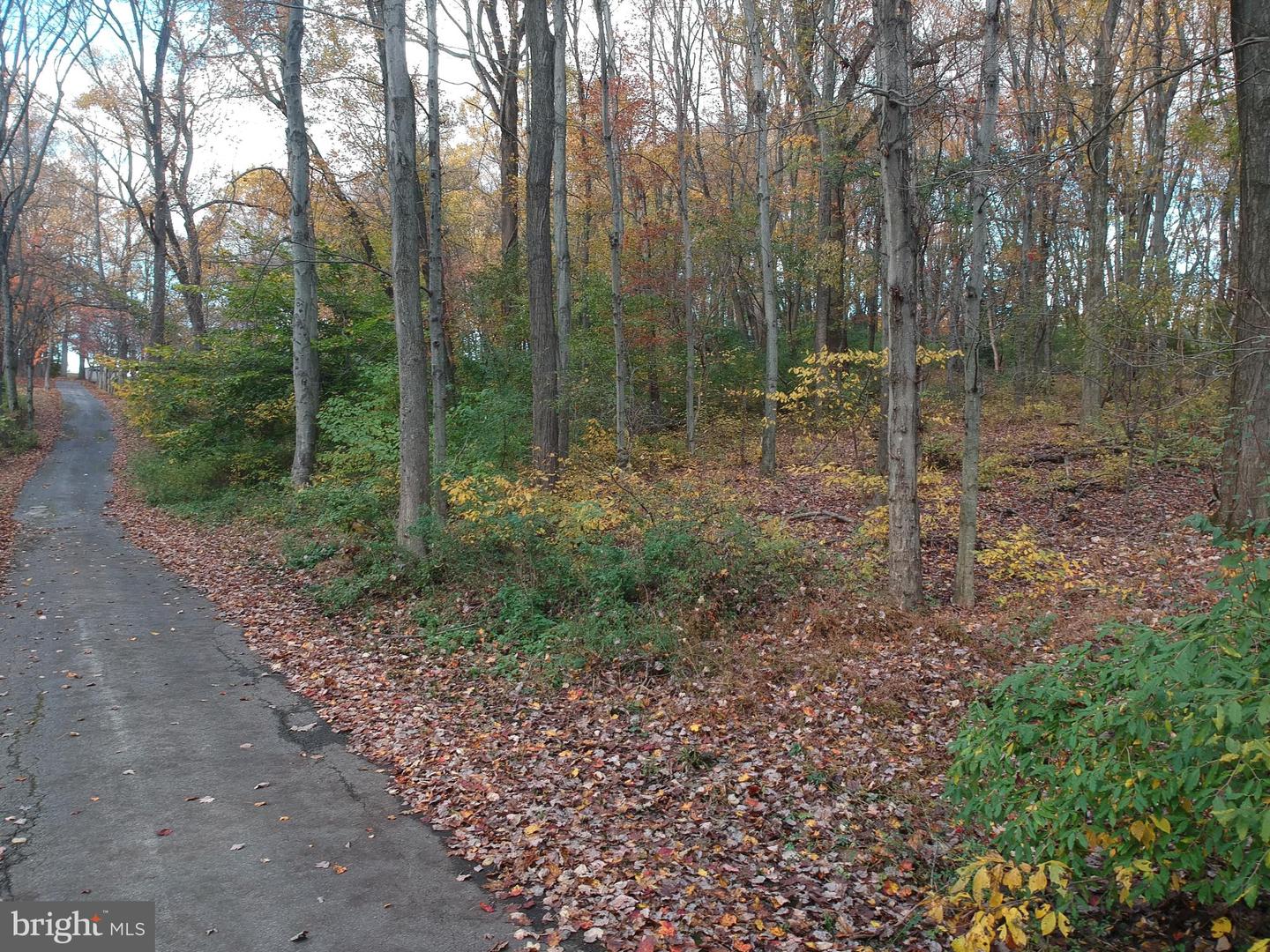 675-lot 2 Brintons Bridge Rd Property Photo 5