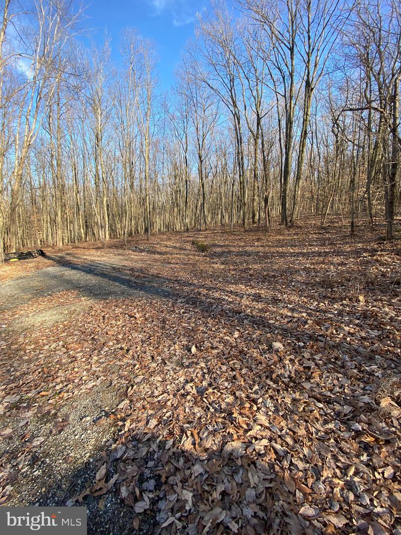 1 Senn Lane Property Photo 17