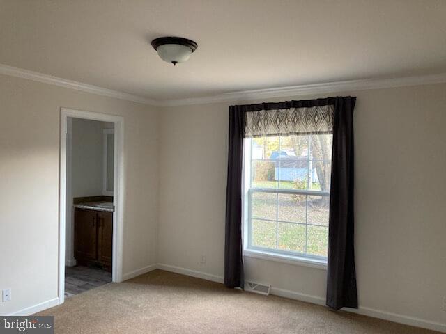 146 Minch Rd Property Photo 13
