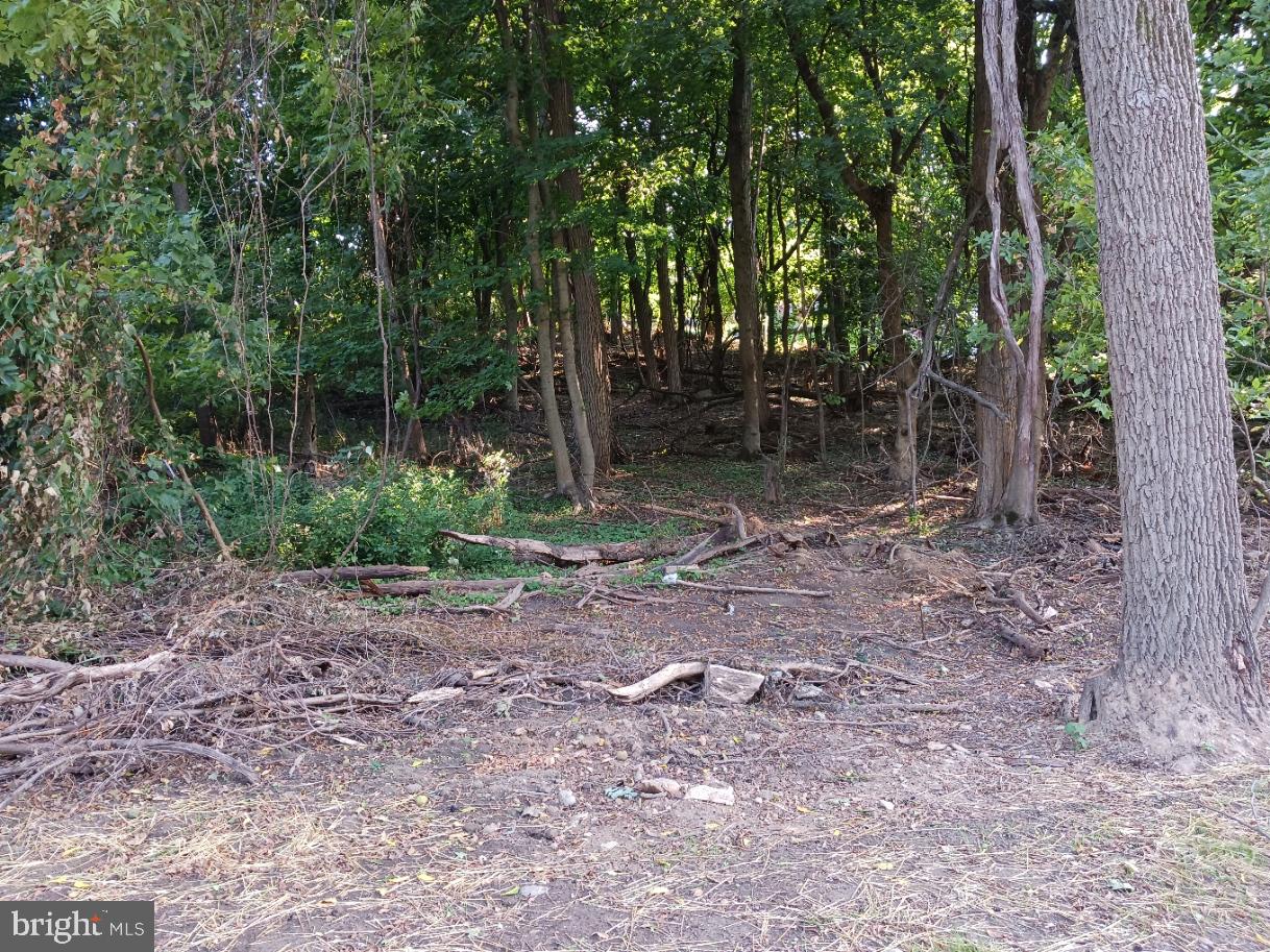 171 Longford Ave Property Photo 8