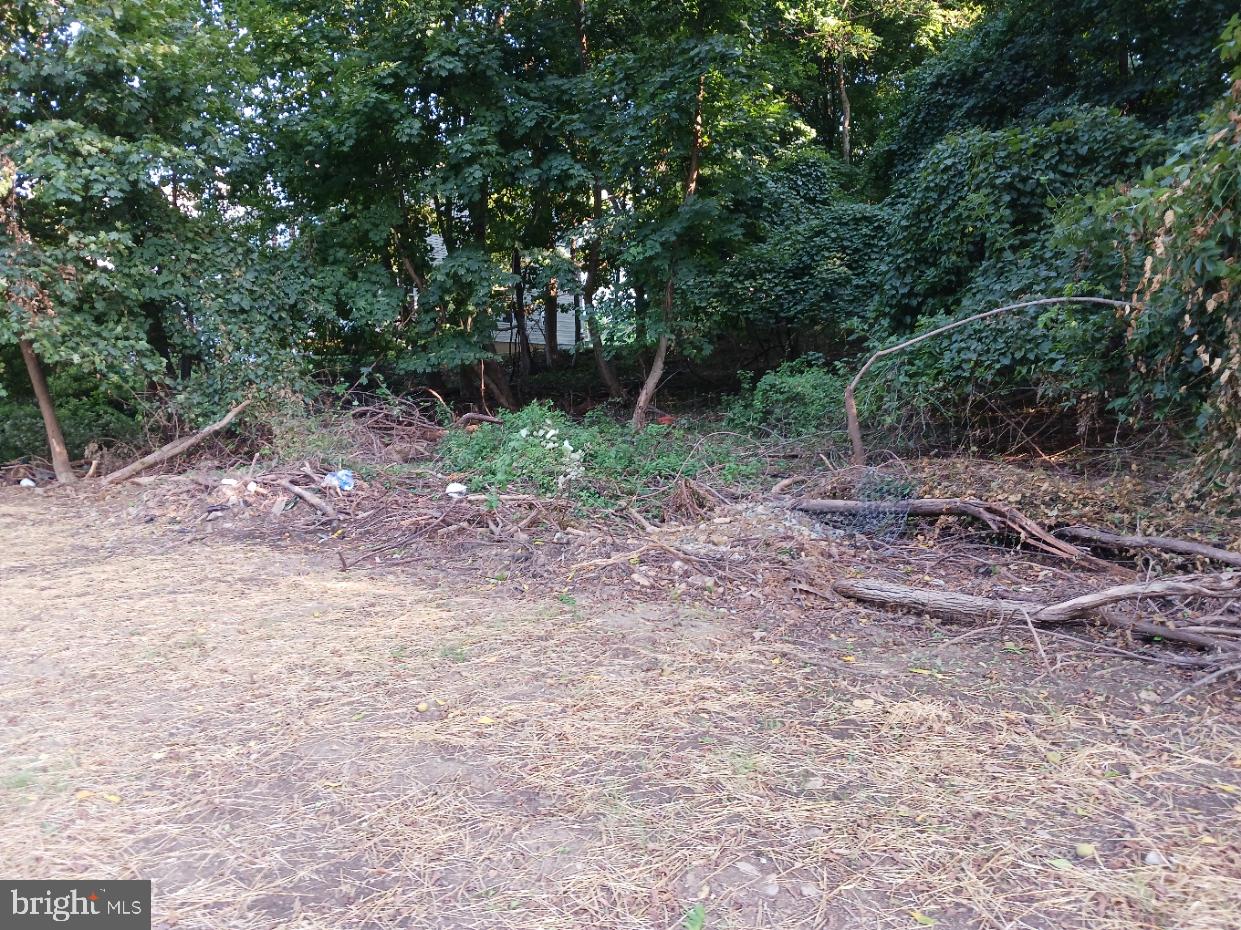 171 Longford Ave Property Photo 9