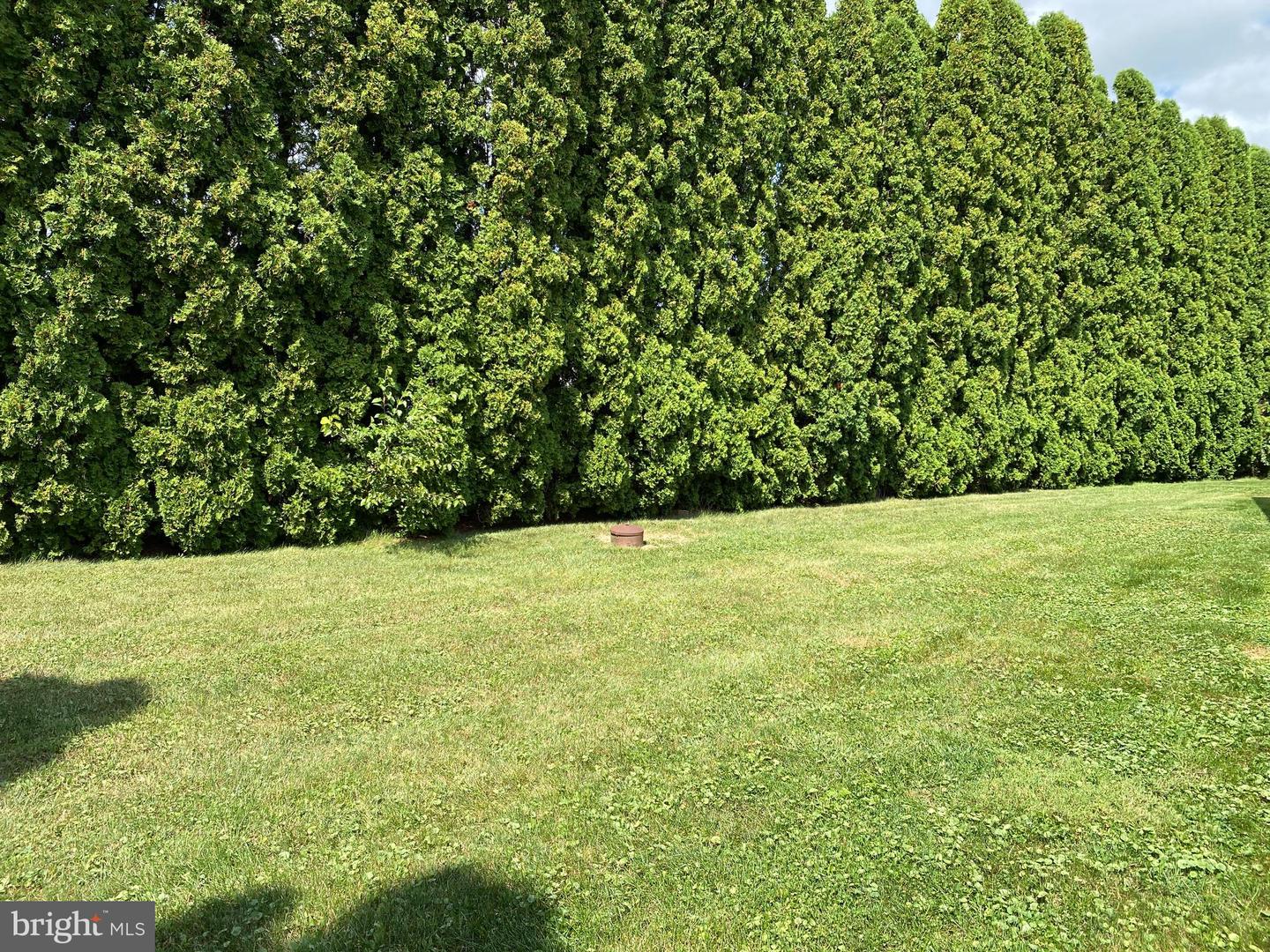 1175 Gap Newport Pike Property Photo 14