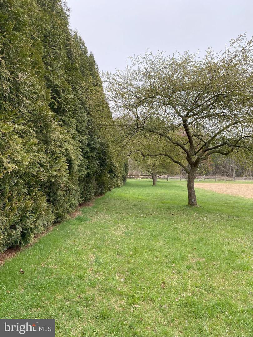 Lot 10-10a Merlin Rd Property Photo 12
