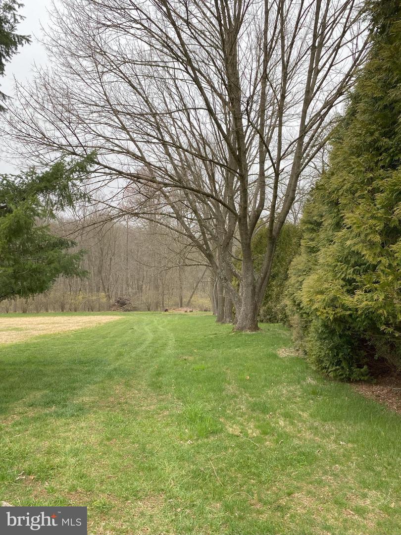 Lot 10-10a Merlin Rd Property Photo 13