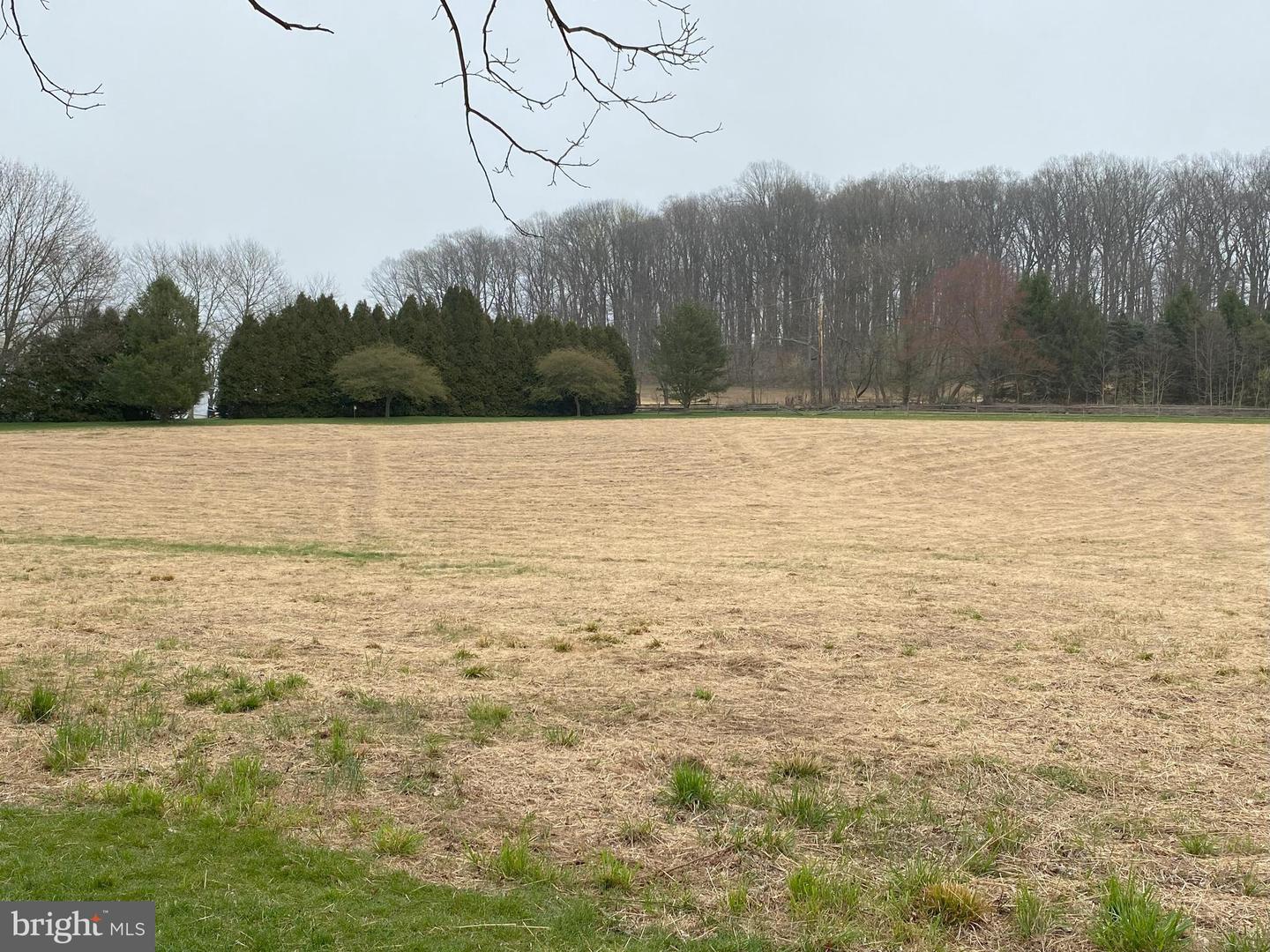 Lot 10-10a Merlin Rd Property Photo 19