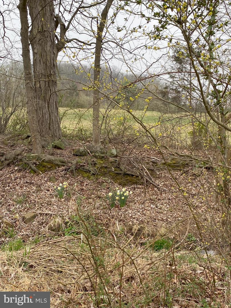Lot 10-10a Merlin Rd Property Photo 23