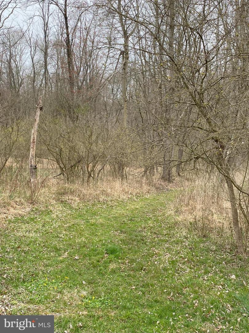 Lot 10-10a Merlin Rd Property Photo 24