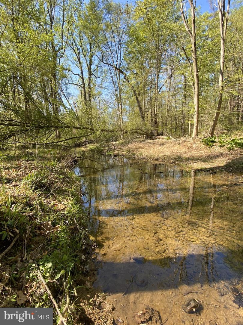 Lot 10-10a Merlin Rd Property Photo 28