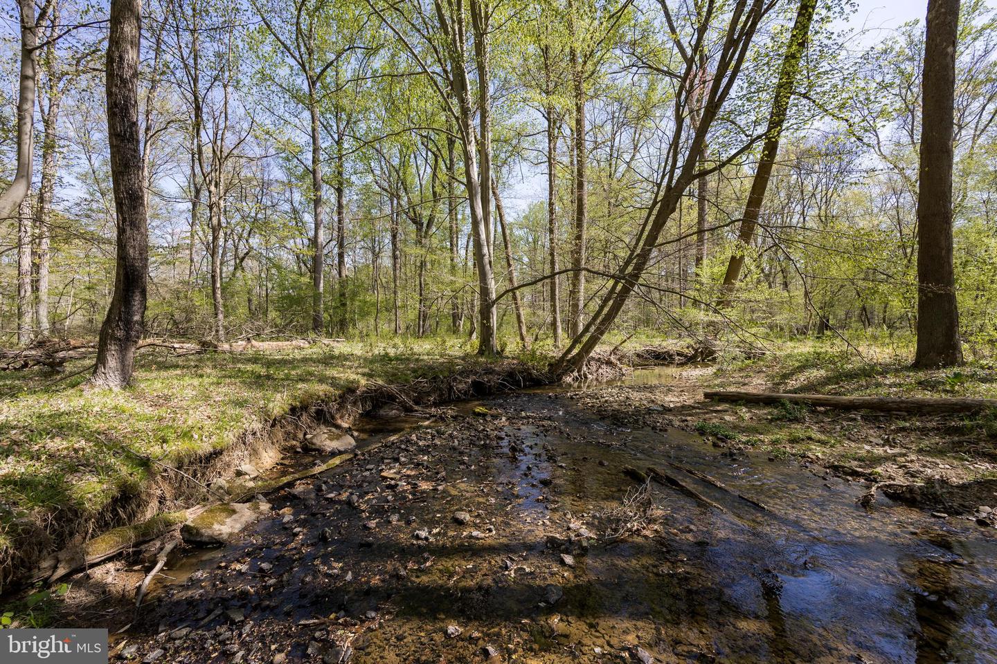 Lot 10-10a Merlin Rd Property Photo 31