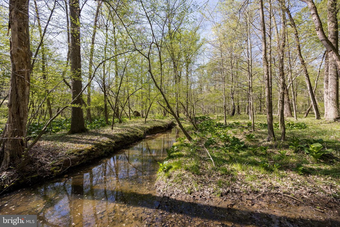 Lot 10-10a Merlin Rd Property Photo 32