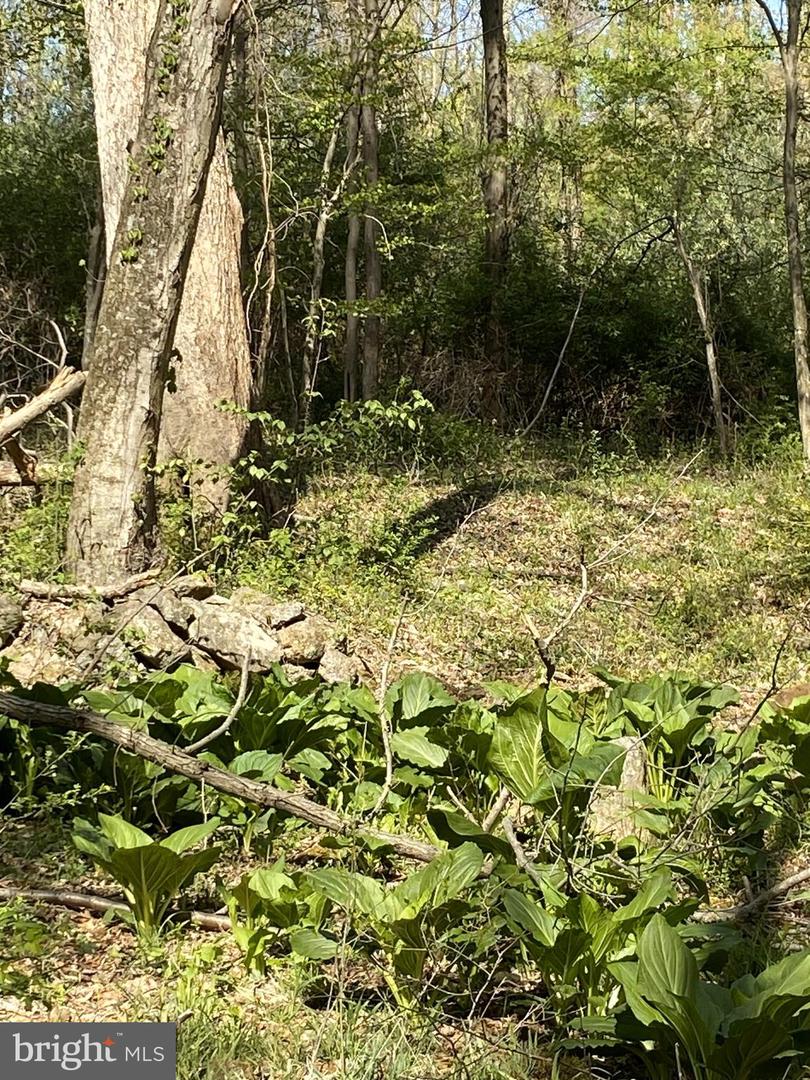 Lot 10-10a Merlin Rd Property Photo 44