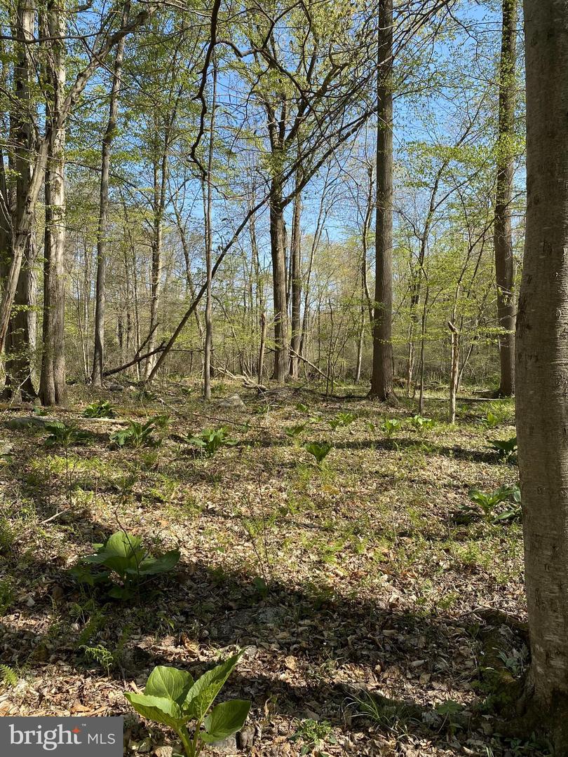 Lot 10-10a Merlin Rd Property Photo 47