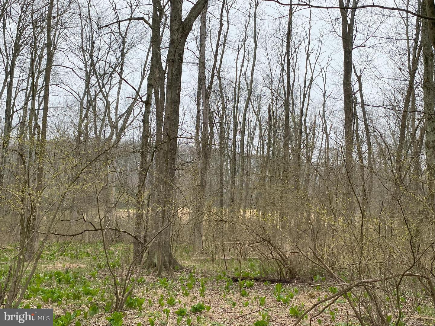Lot 10-10a Merlin Rd Property Photo 49