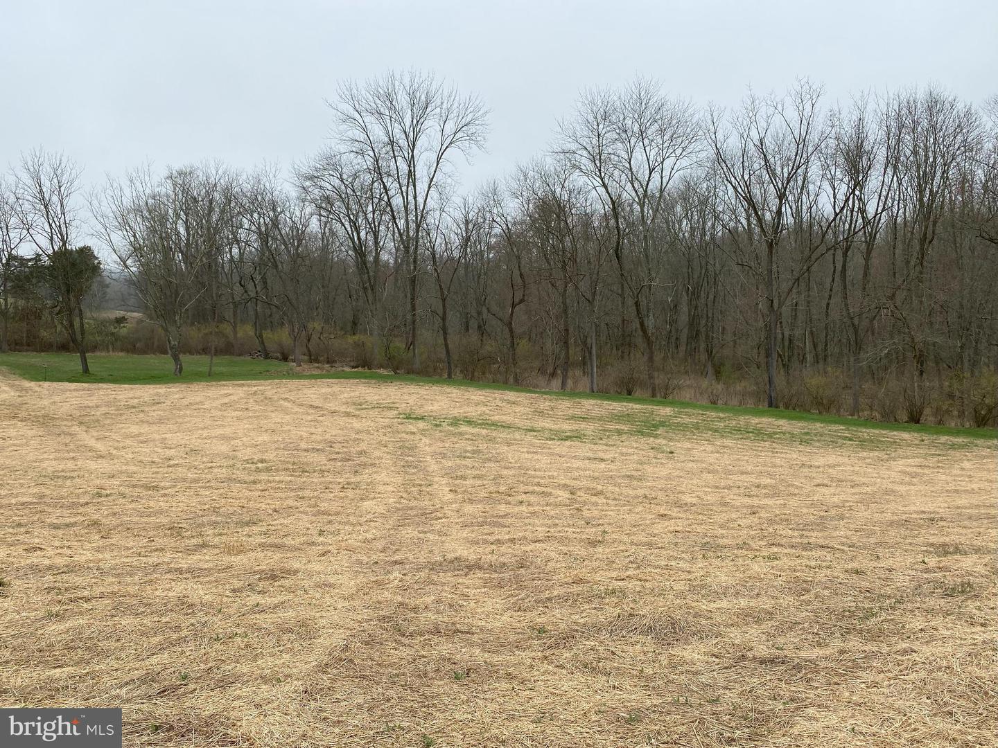 Lot 10-10a Merlin Rd Property Photo 52