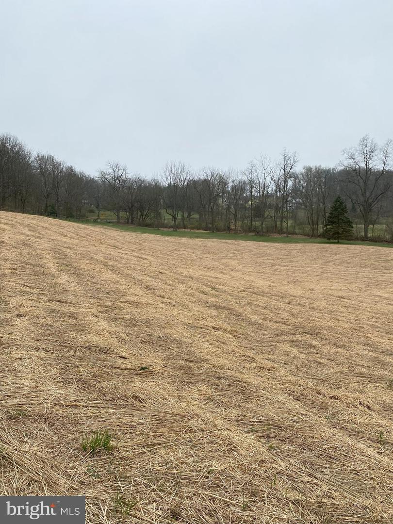 Lot 10-10a Merlin Rd Property Photo 53