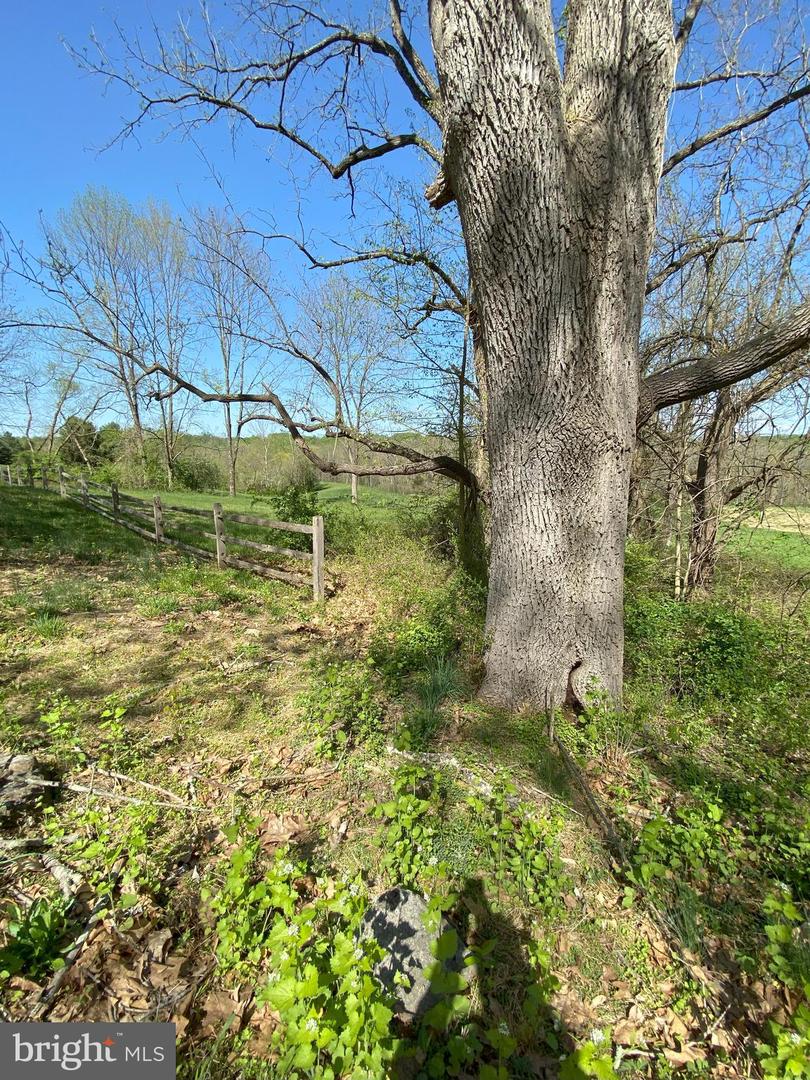 Lot 10-10a Merlin Rd Property Photo 55