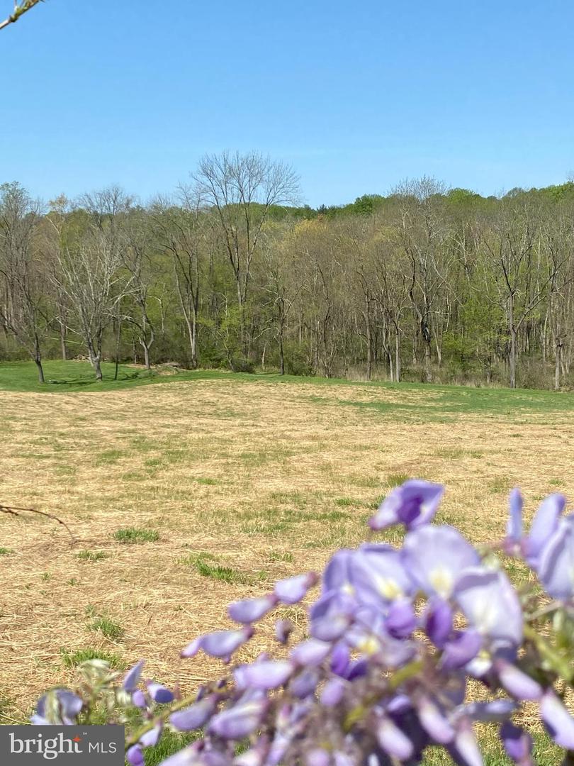 Lot 10-10a Merlin Rd Property Photo 60