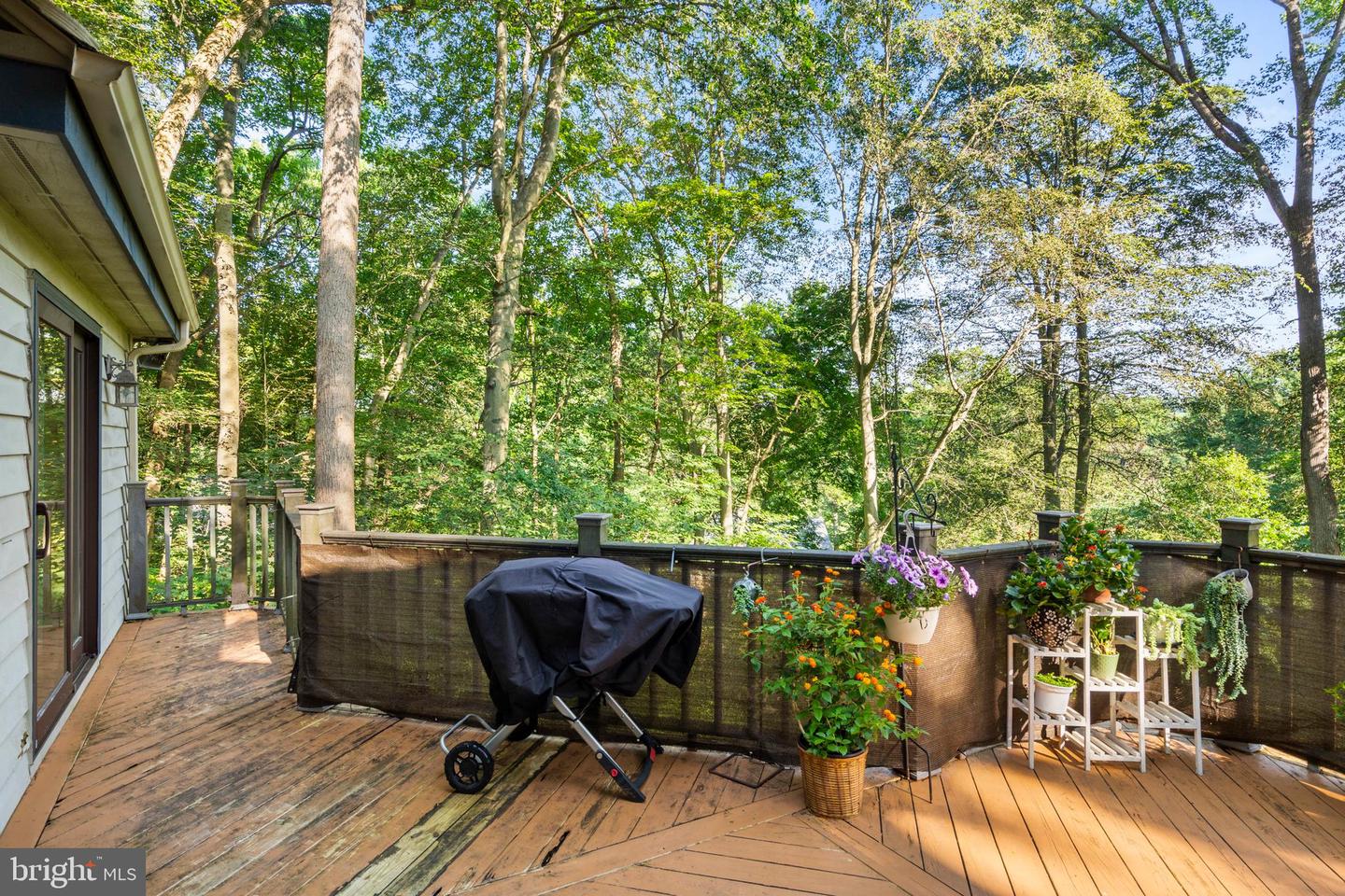 2 Briarwood Ct Property Photo 65