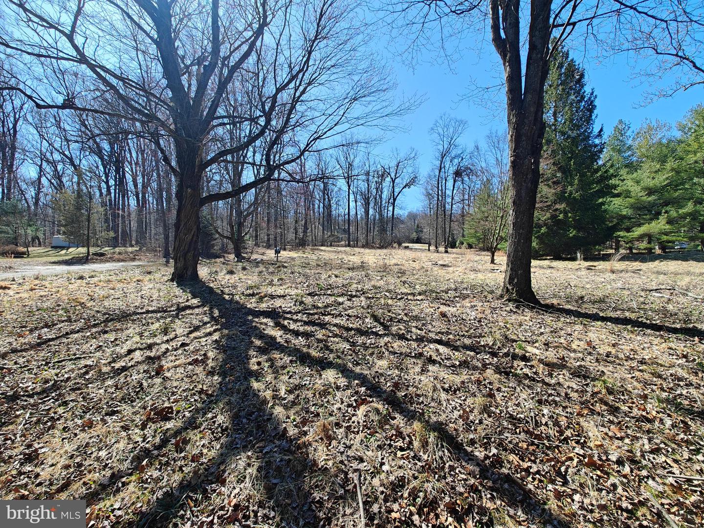 152 Icedale Rd Property Photo 3