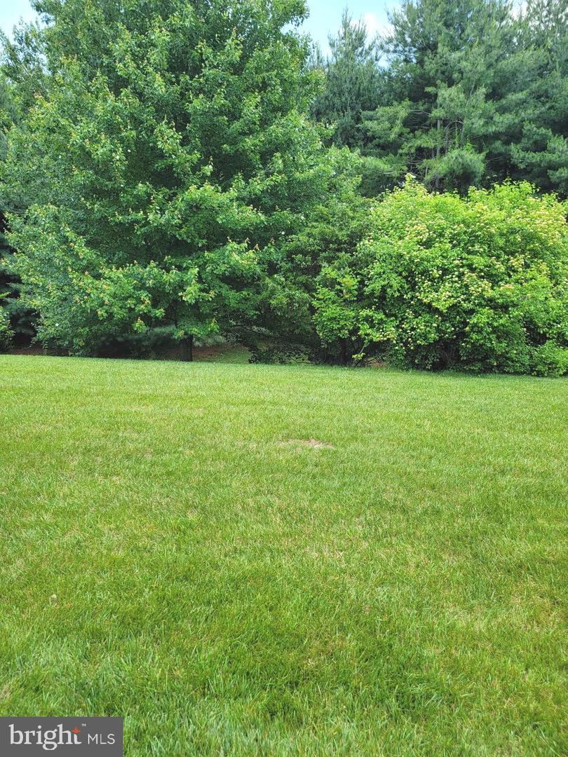 339 Carlisle Dr Property Photo 28