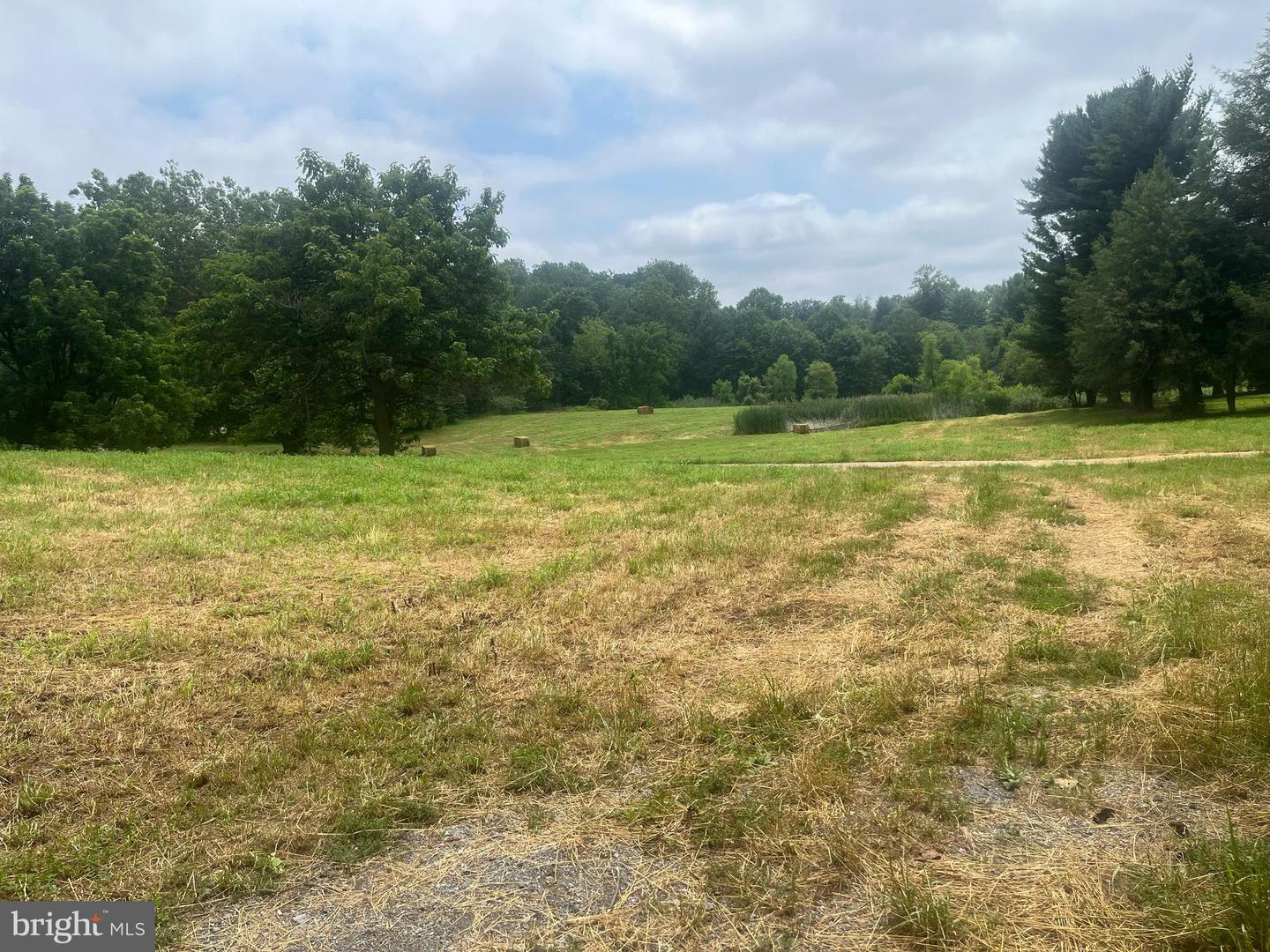 117 Chandler Mill Rd Property Photo 1