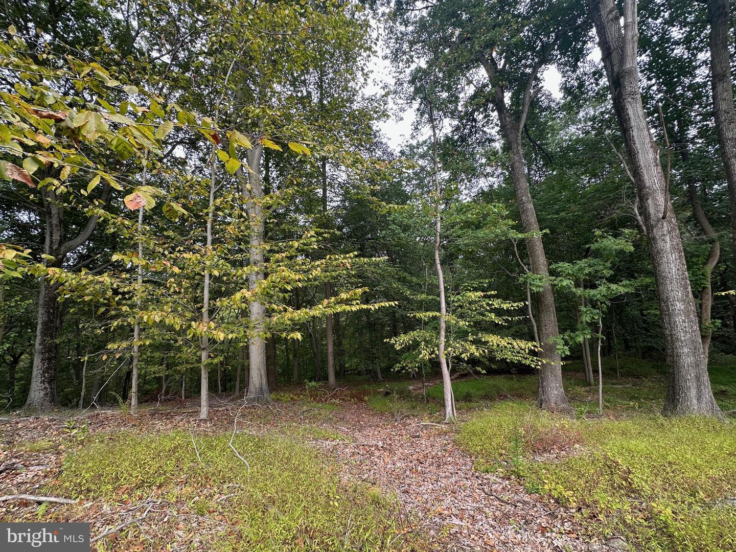 547 Webb Road - Rd Property Photo 59