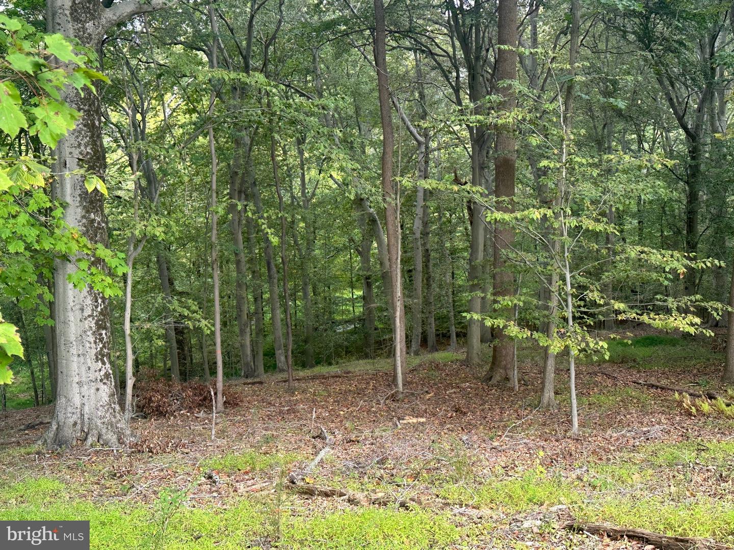 547 Webb Road - Rd Property Photo 60