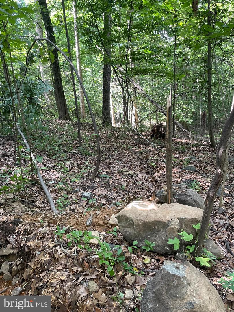 327 Hibernia Rd. Property Photo 11