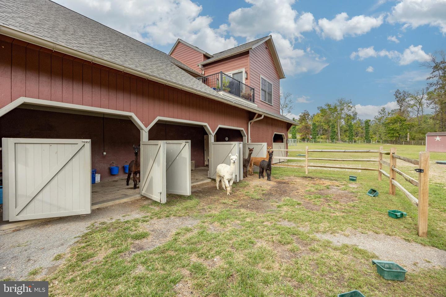 2230 Creek Rd Property Photo 84