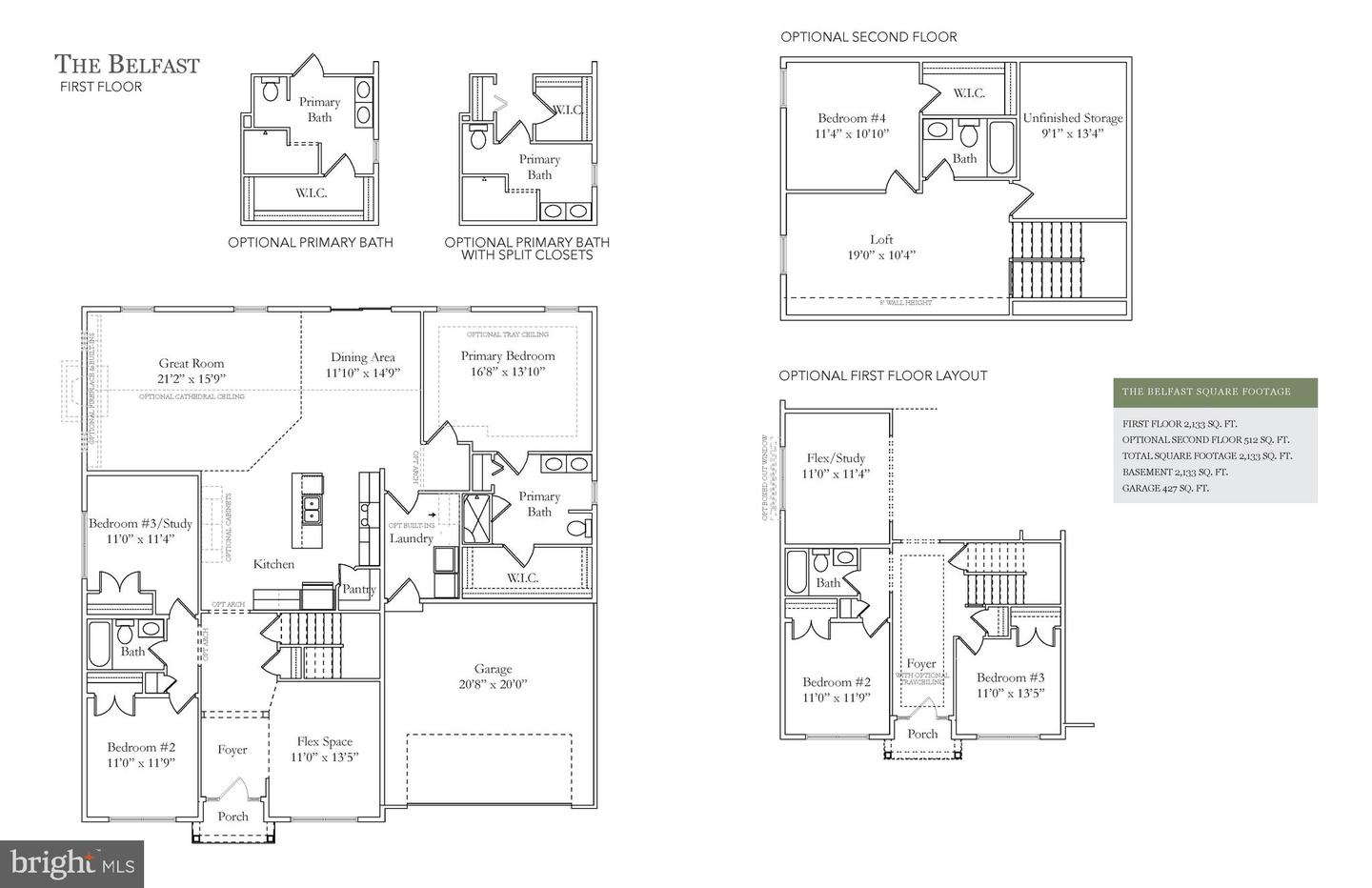 217 Buckingham St #(belfast) Lot 132 Property Photo 4