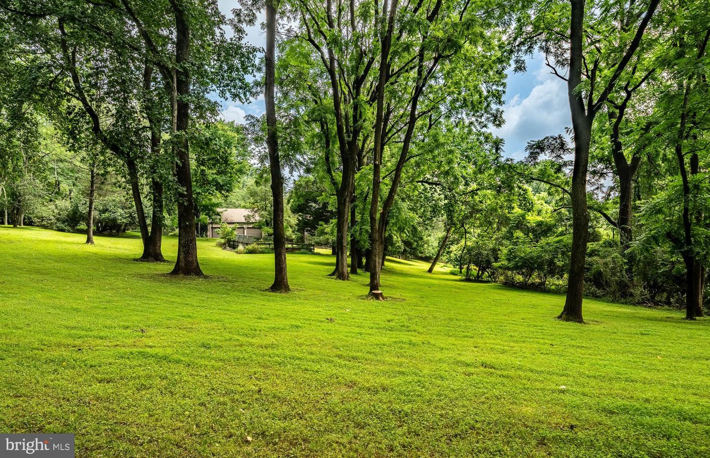 7 Bittersweet Dr Property Photo 119