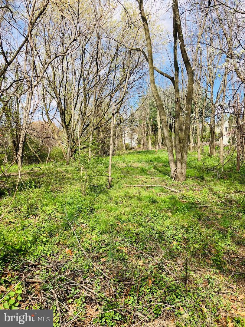 112 Bancroft Rd Property Photo 1