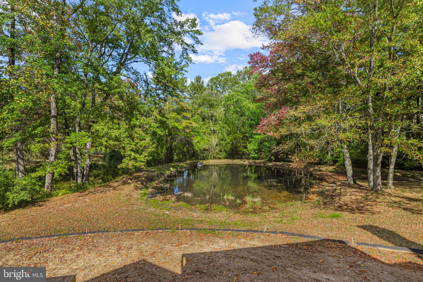 680 Sycamore Ln Property Photo 14