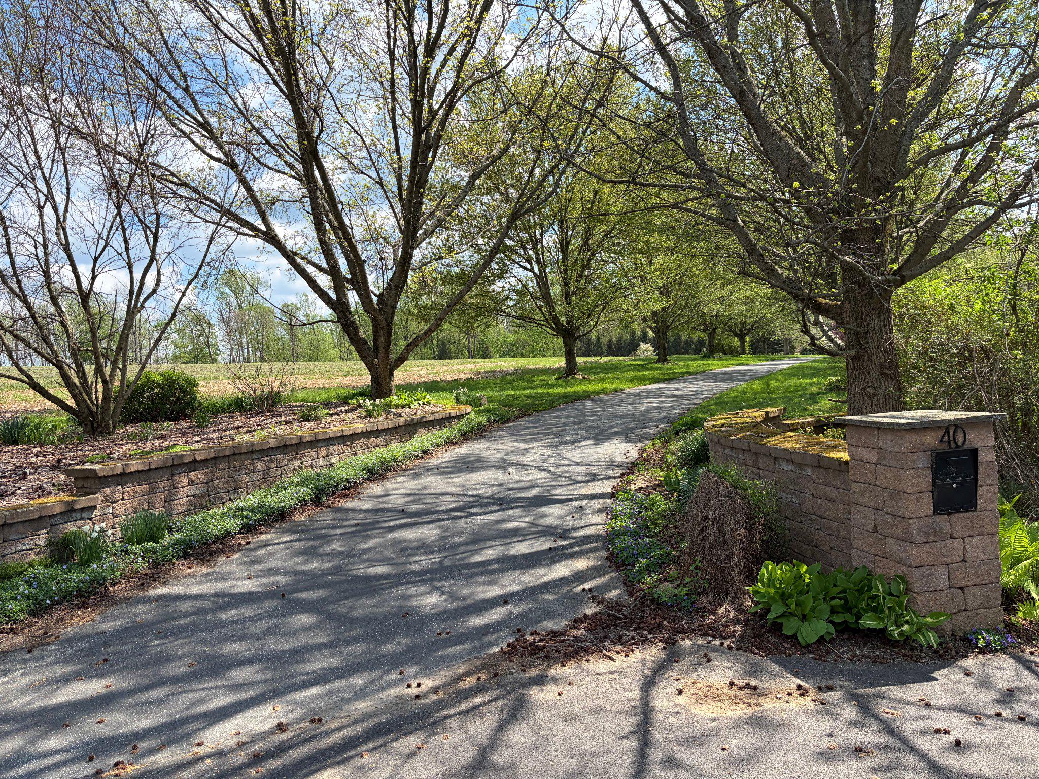 81 Penwyck Ln Property Photo 6