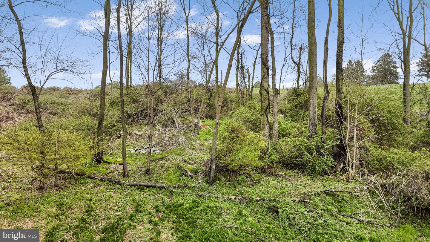 102 Paschall Mill Rd Property Photo 8