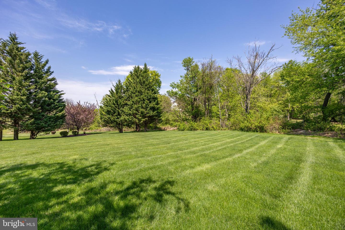 1345 Wooded Knls Property Photo 52