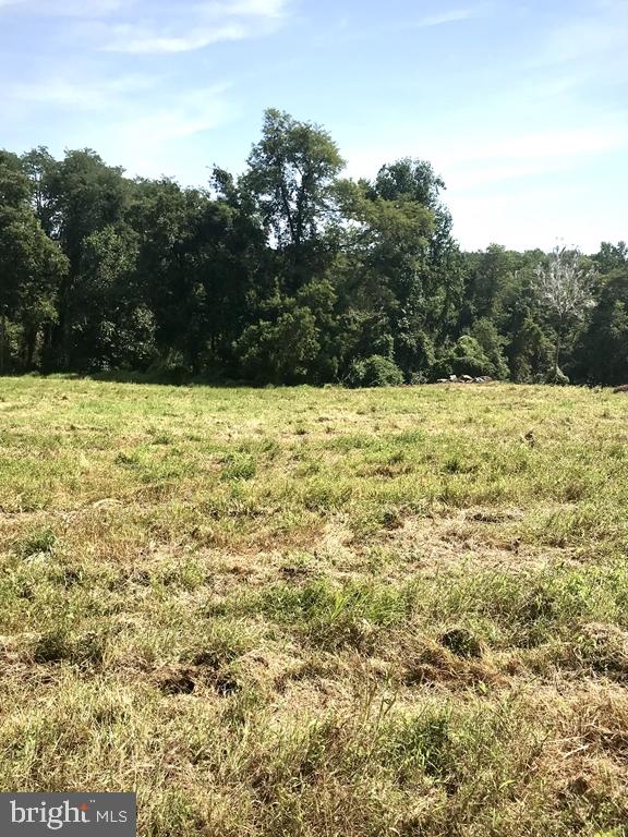 818 Burrows Run Rd Property Photo 101