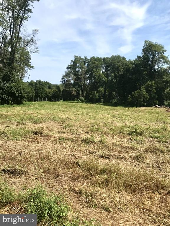 818 Burrows Run Rd Property Photo 102