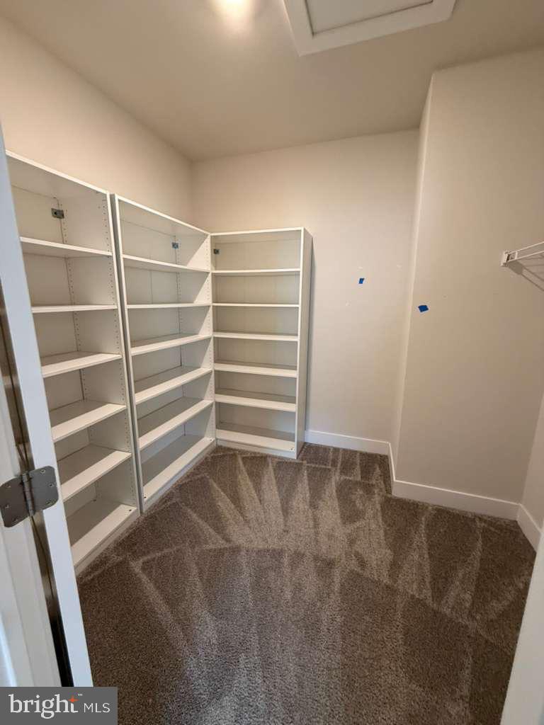 704 Peony Ln Property Photo 6