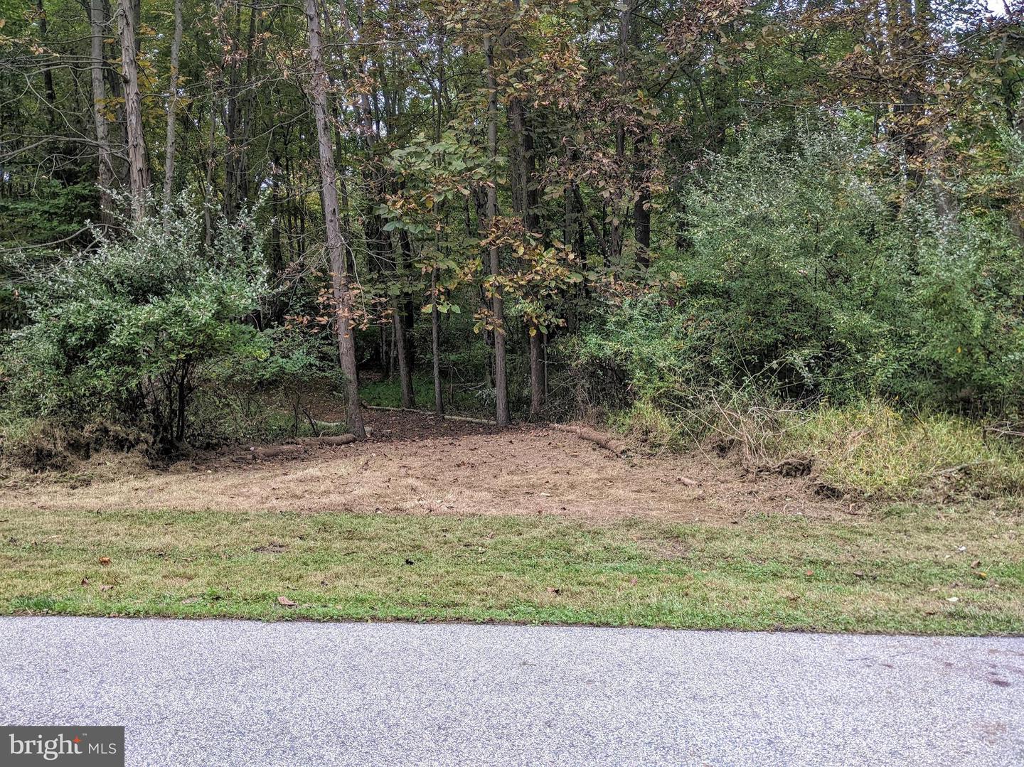 101 Burnt Mill Cir Property Photo 31