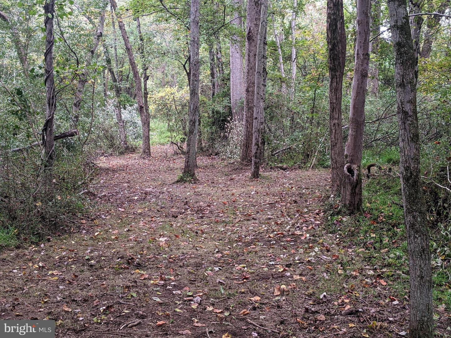 101 Burnt Mill Cir Property Photo 36