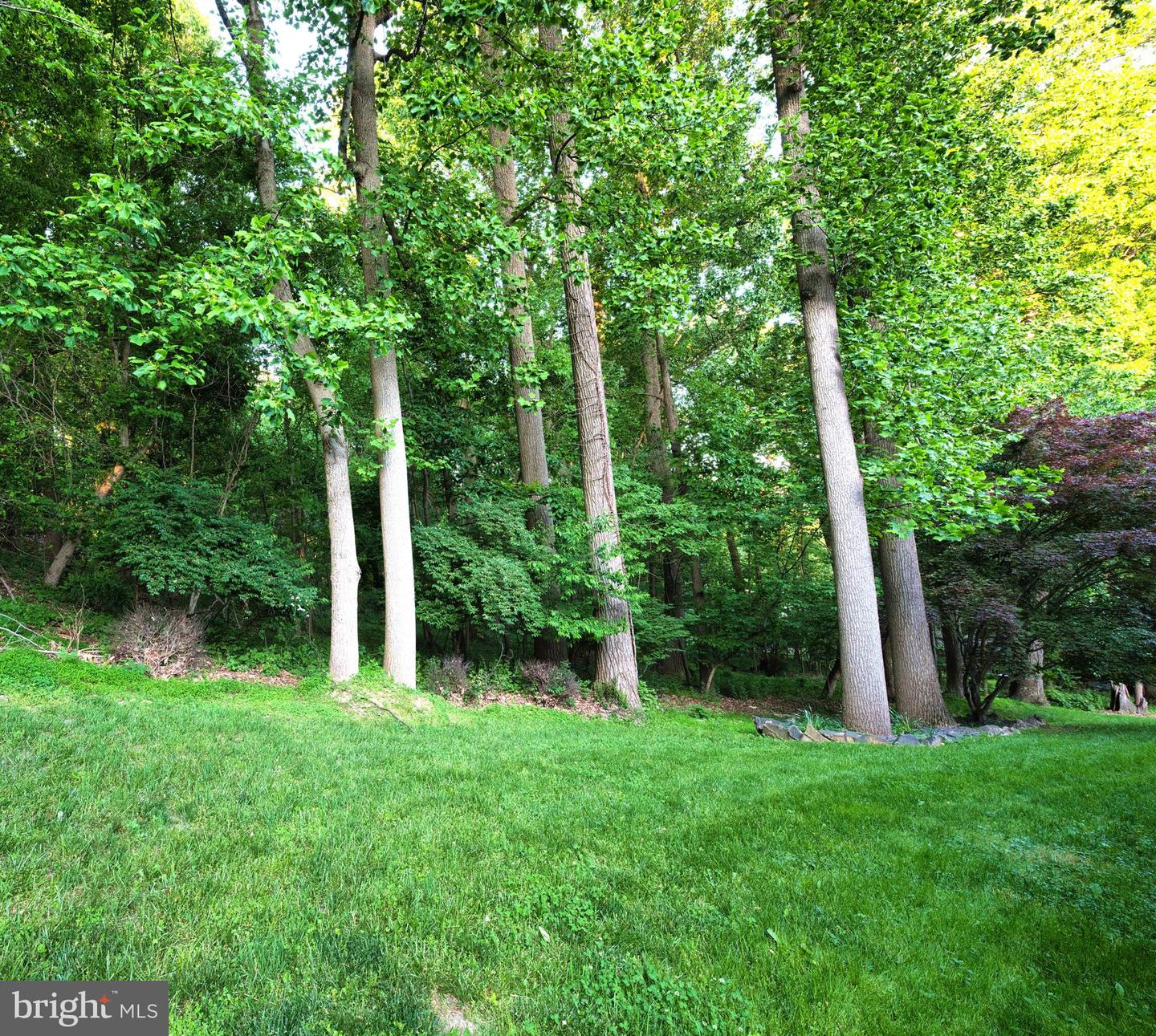 106 Bassatt Dr Property Photo 64