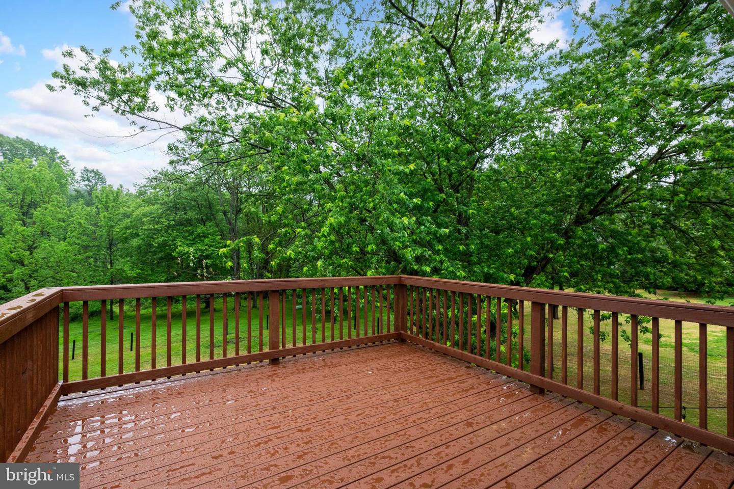 11 Prince Edwards Drive Property Photo 49
