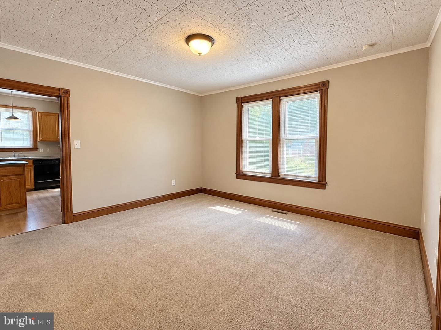 115 Woodland Ave Property Photo 3